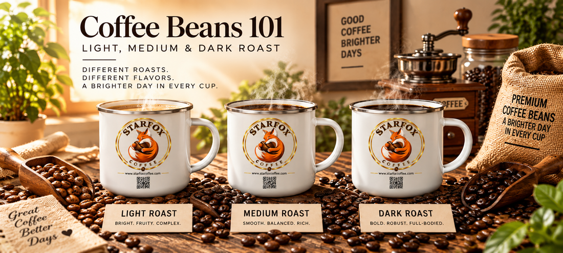 Coffee Beans 101: Light, Medium & Dark Roast